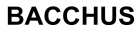 Bacchus Investments Ltd logo